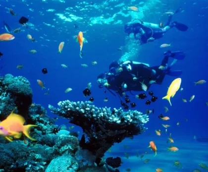 Snorkeling in Hurghada Red Sea